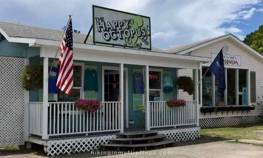 the happy octopus shop on Dauphin Island