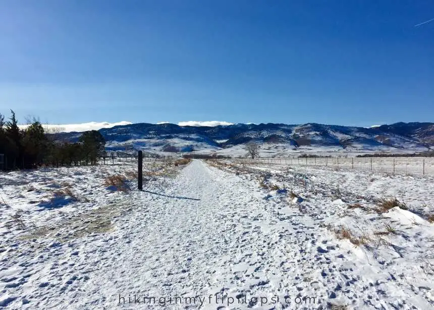 a snow-covered path along one of Boulder's best hiking trails