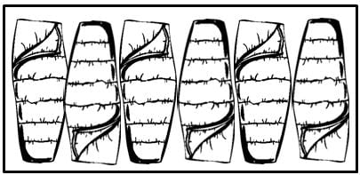 an illustration of a tent's sleeping capacity to help with how to choose a tent for camping