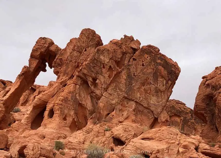 the rock in the shape of an elephant, found at Valley of Fire State Park in Nevada