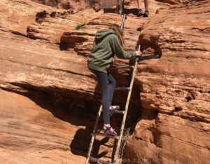 ladder on corona arch trail in moab UT
