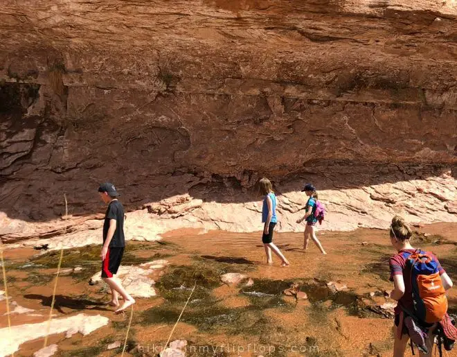 the kids walk through the stream that runs along the grandstaff trail in moab ut