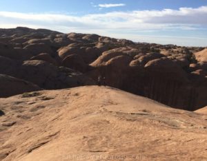 sandstone rock on the slickrock trail in moab ut
