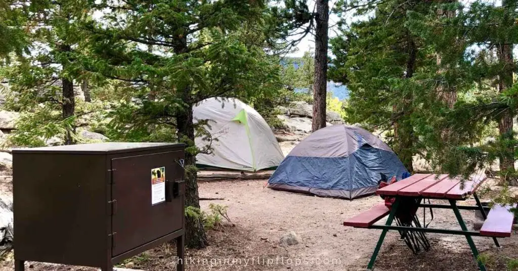 a bear locker at a campsite shows an easy way for new campers to protect from bears while camping