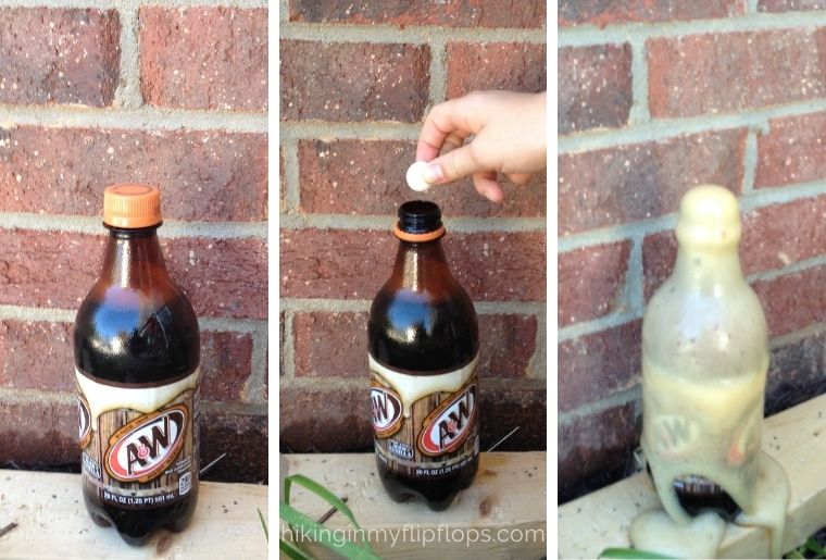 outdoor science experiment with root beer and mentos