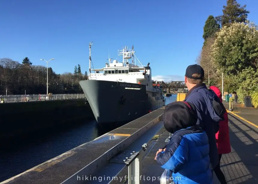 watching a ship come into the locks at Chittenden Locks