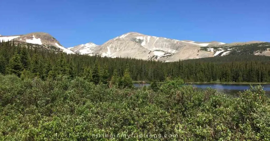 a view of Brainard Lake surrounded by trees with mountains in the background