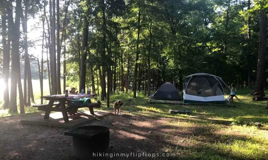 put tents up under the shade of trees how to keep a tent cool while camping in hot weather 