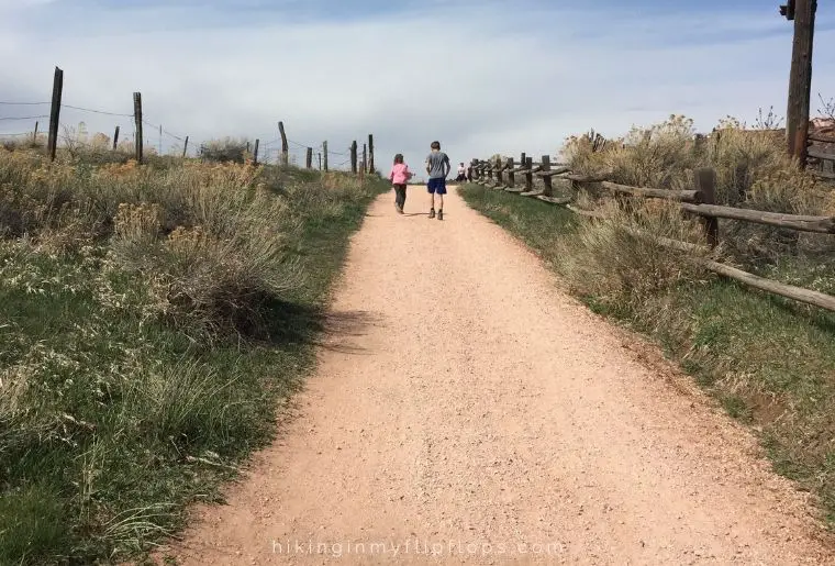 kids hiking up a hill