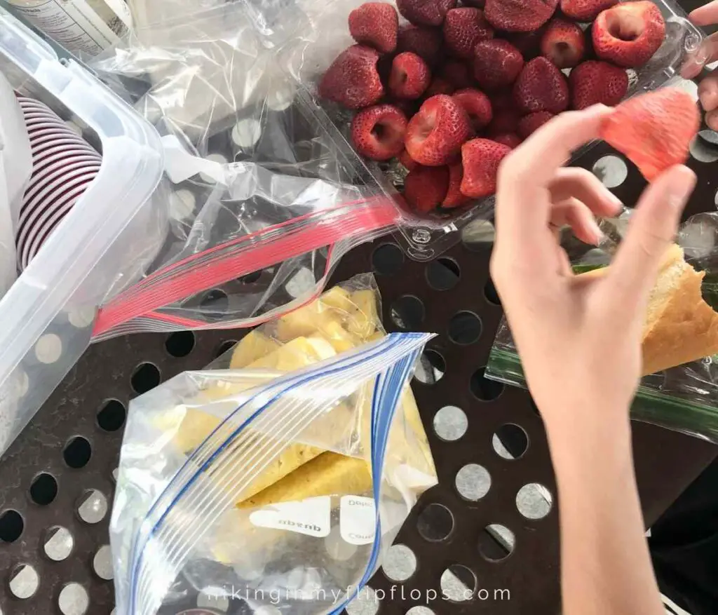 fresh fruits served at a rest area picnic table