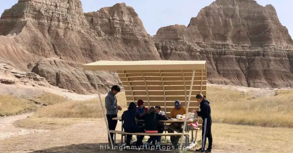 a family on a road side picnic with their favorites from road trip lunch ideas