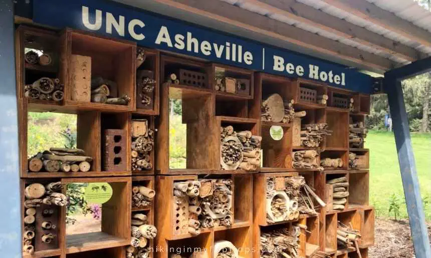 a wall of wooden boxes set up for the bees at the Bee Hotel in Asheville NC