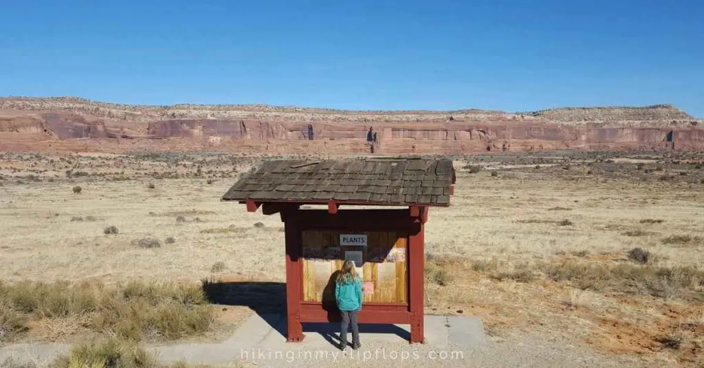 a girl reading the information sign at Canyonlands National Park