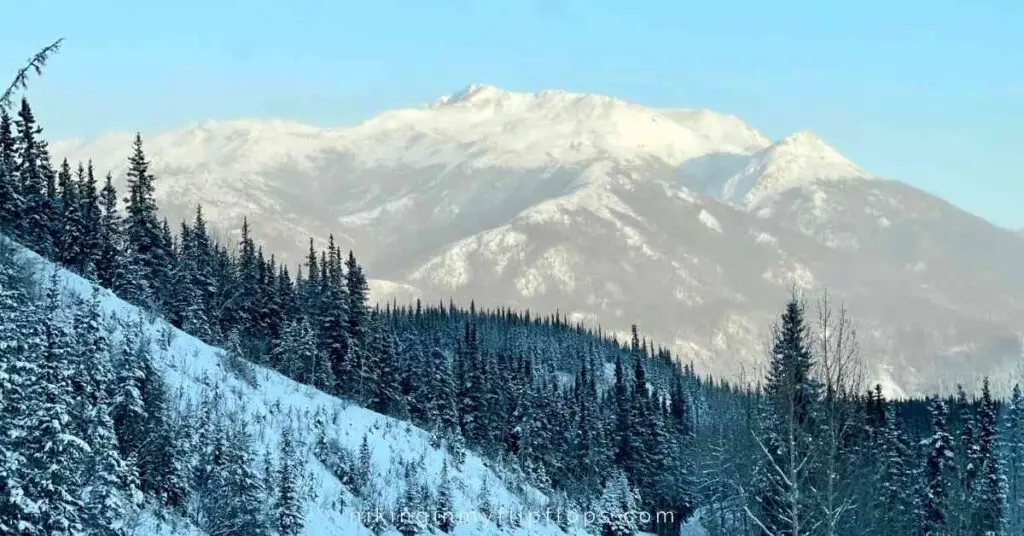 a snow-covered Denali mountain in Denali National Park