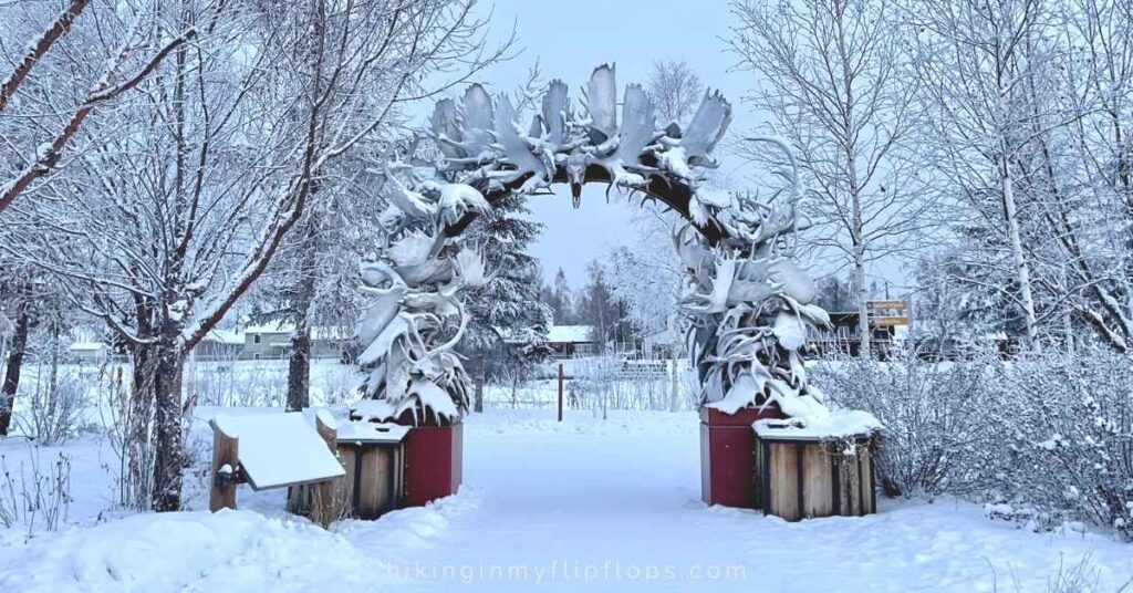 moose antler arch in Fairbanks in winter