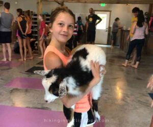 a girl holding a goat at Goat Yoga in Galena IL