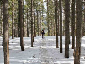 kids walking a snow-covered trail in a forest in the Rocky Mountains in Colorado