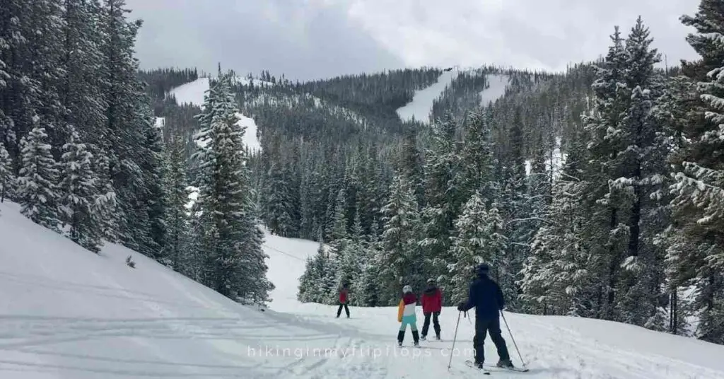 a family on a gently sloped ski run 