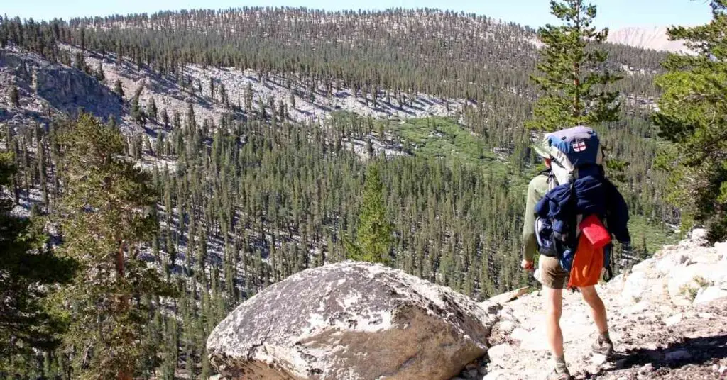 a backpacker stands at the edge of a tree-filled valley