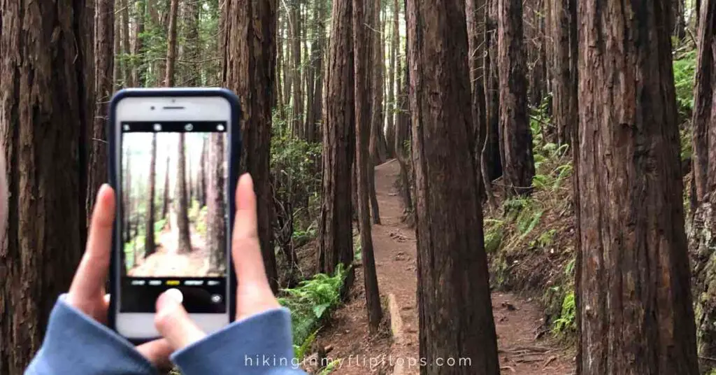 wooded hiking trail that is also seen through a phone illustrates how to charge your phone while camping